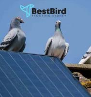 Best Bird Proofing Sydney image 8